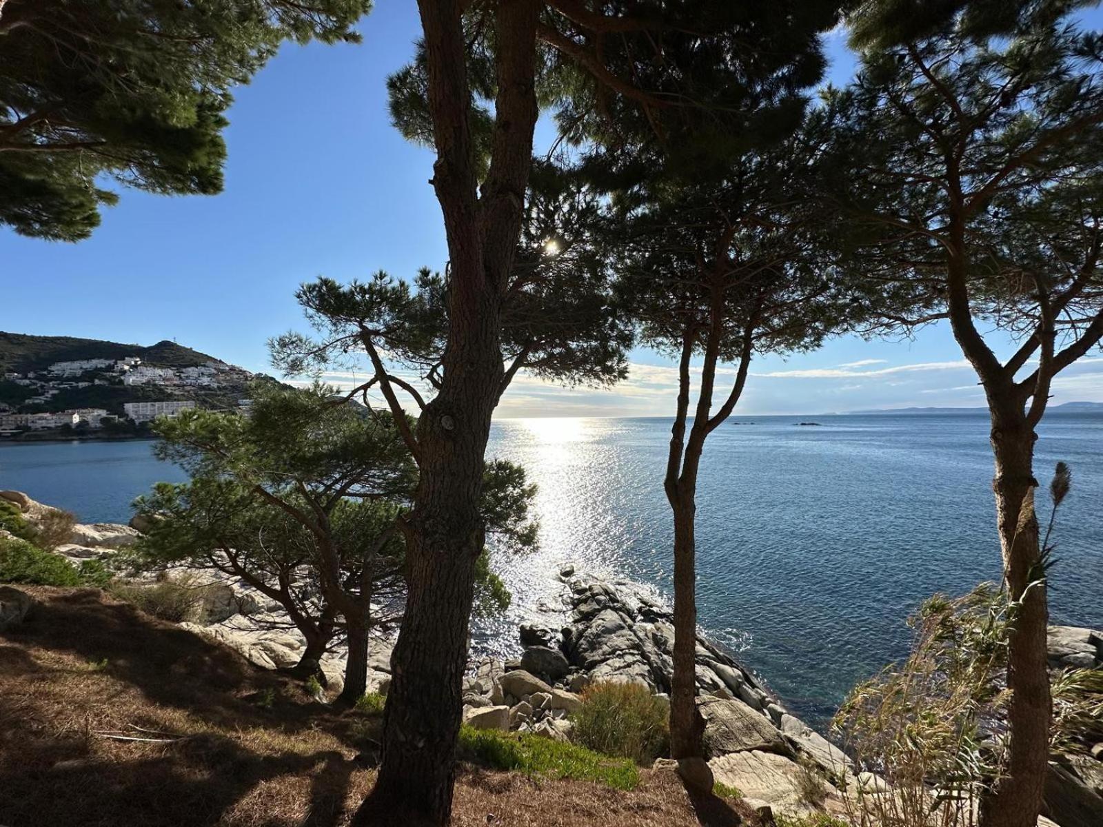Apartamento En Roses Parking Y Piscina Comunitaria エクステリア 写真